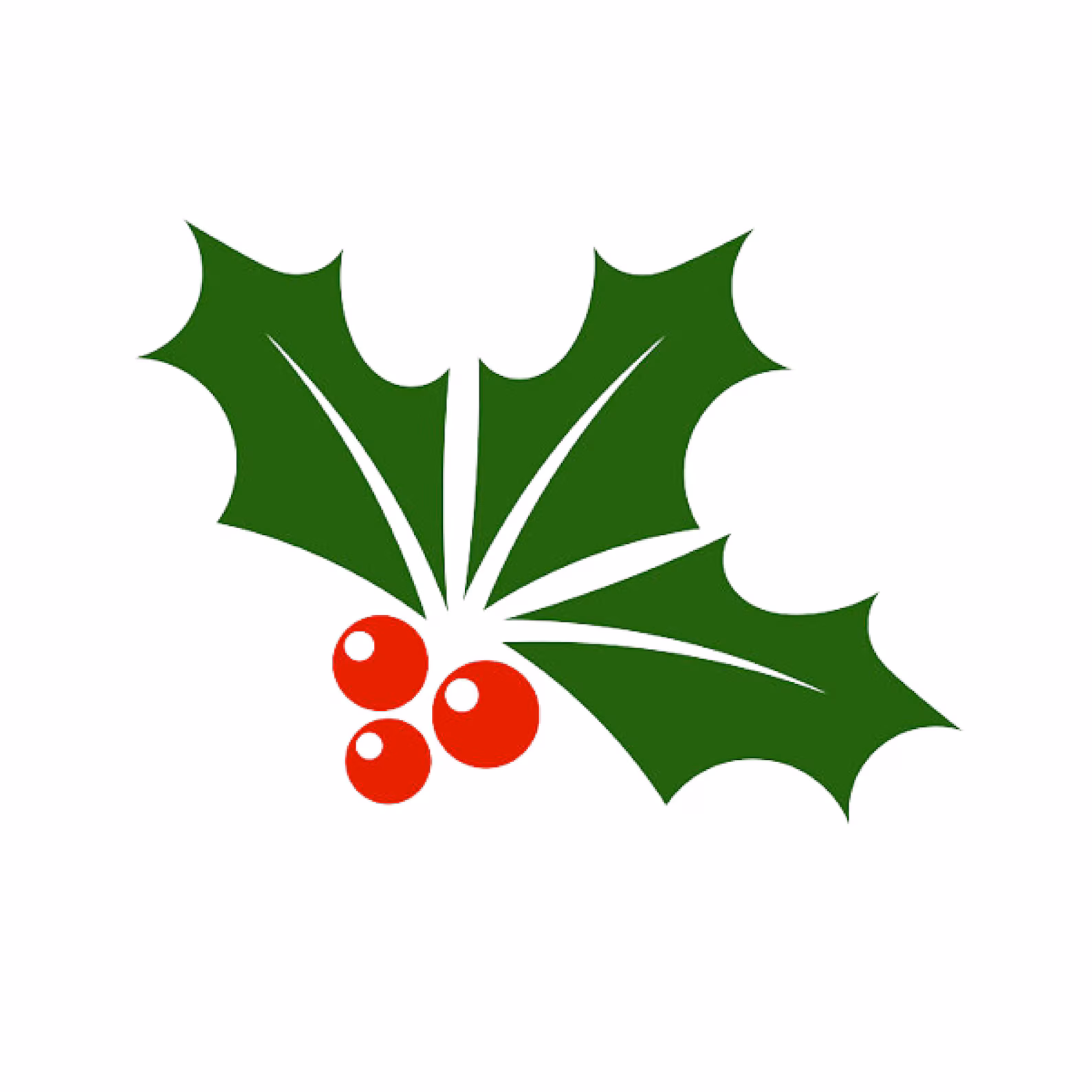 il_1588xN.4940909028_pqk9.jpg